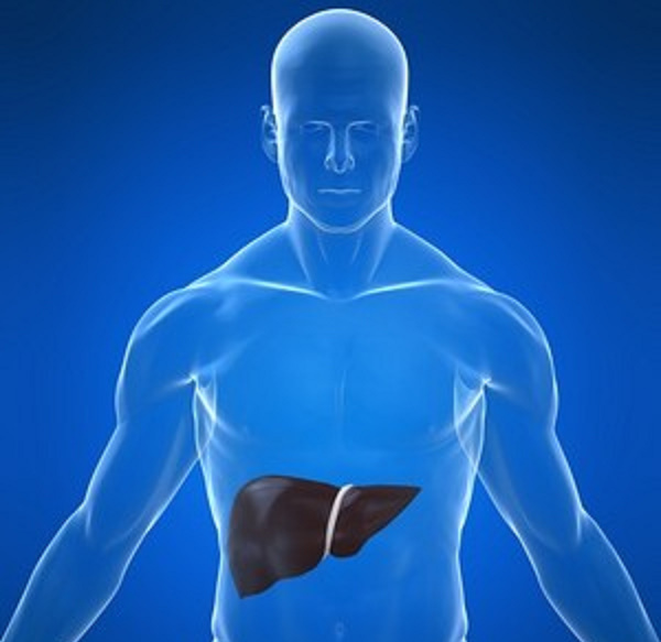 Common liver diseases