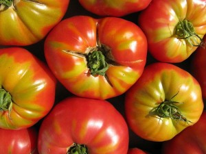 800px-End_of_Summer_Tomatoes