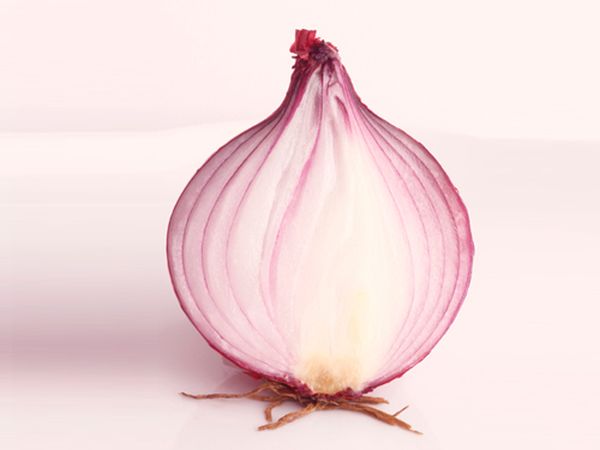 Onions_48_foods-2