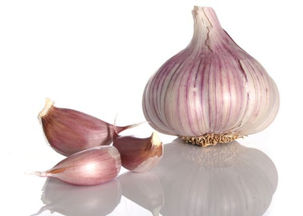 Purple garlic France