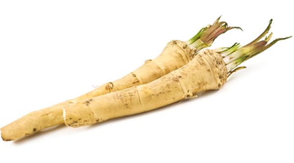 horseradish-root-isp