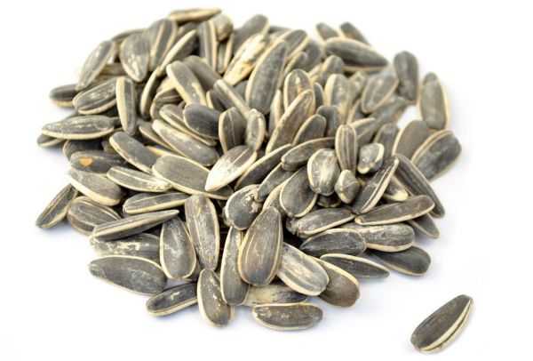 sunflower-seeds-roasted-salted_1