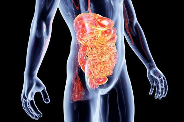 intestinal lining sustains injuries