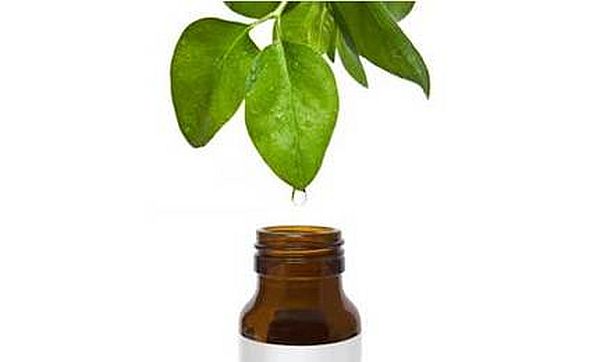 tea tree oil_2