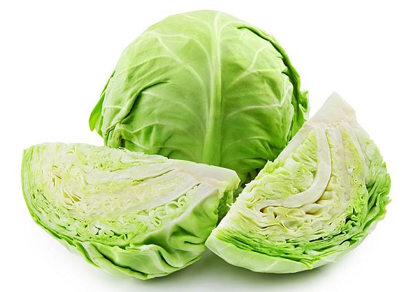 1.Cabbage