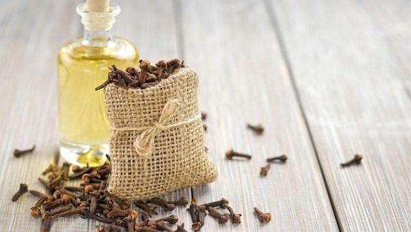 1.clove oil