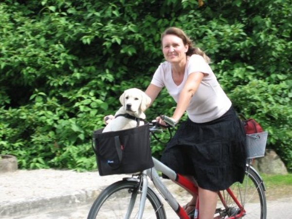 Bike with your dog