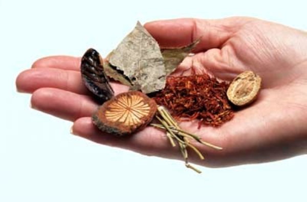 Chinese herbal therapy