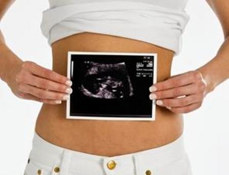 Fetal development in early pregnancy