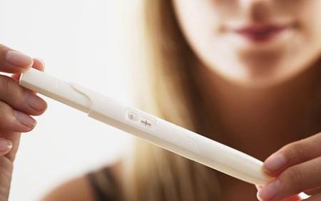Fetal development in early pregnancy