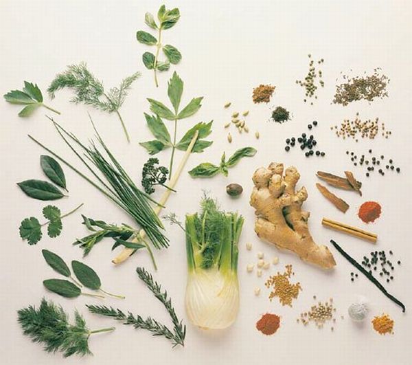 Herbs to combat anxiety