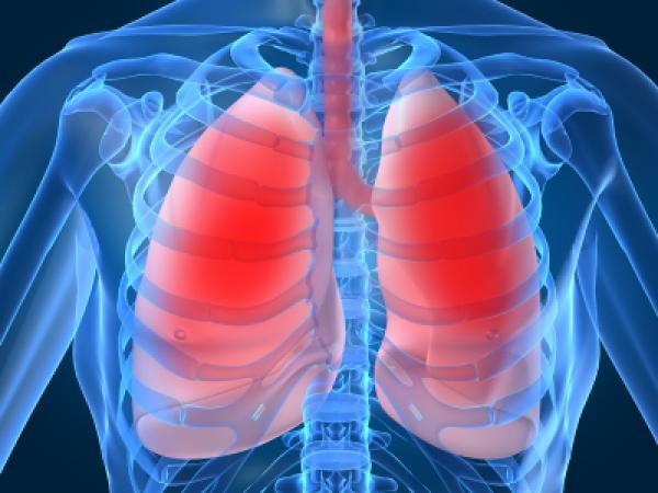 Lung diseases risk Markers