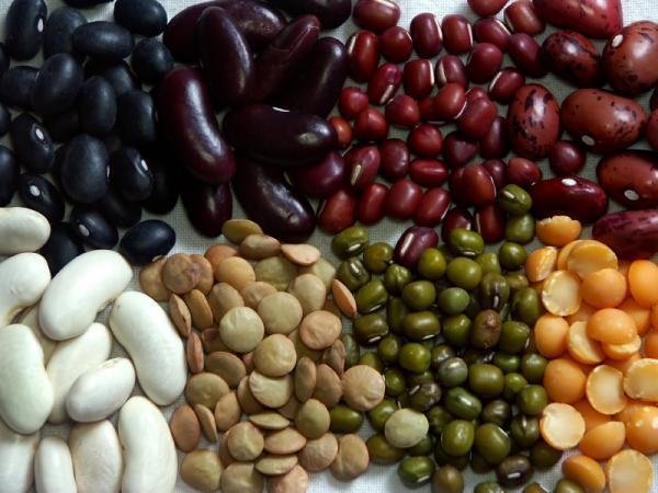 Nuts, seeds and legumes