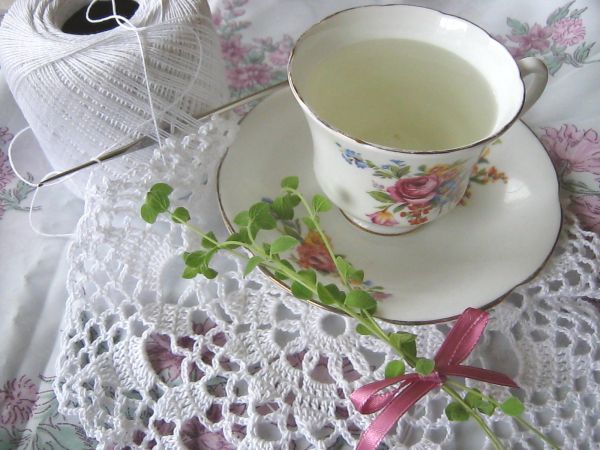Oregano tea