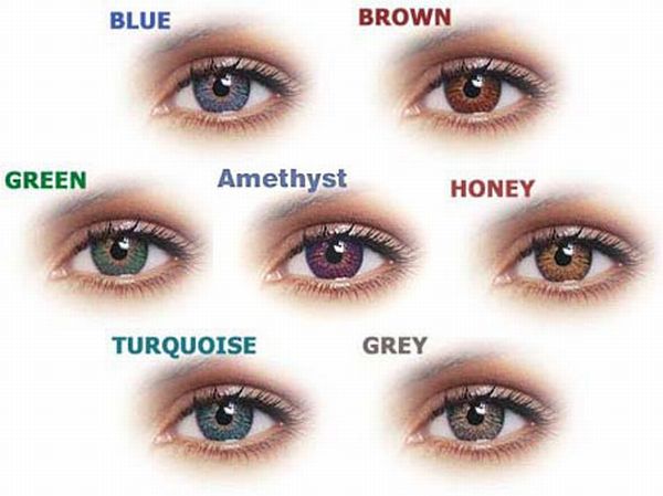 types-of-contact-lenses-and-their-pros-and-cons-diy-health-do-it