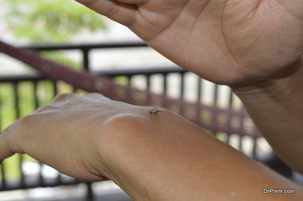 Person swatting a dangerous tiger mosquito by hand