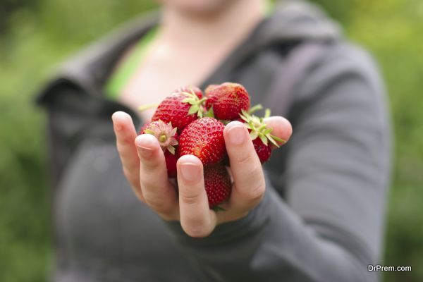 Berries