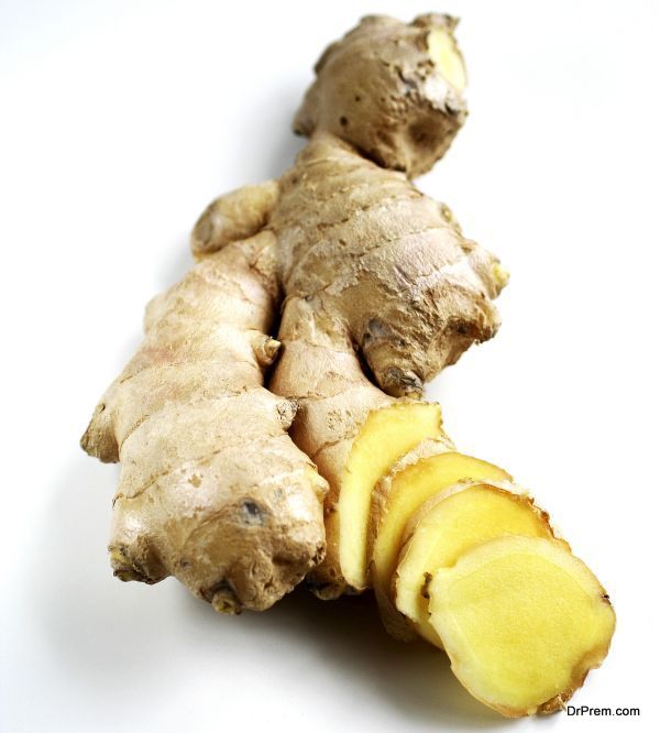 ginger-the-root-1