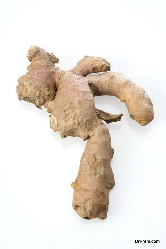 ginger-the-root-2