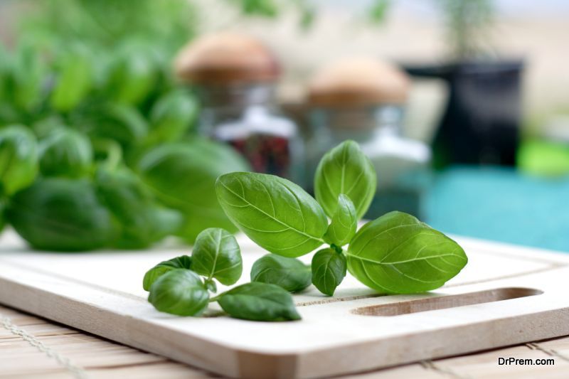 Basil Leaves