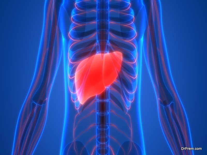 liver