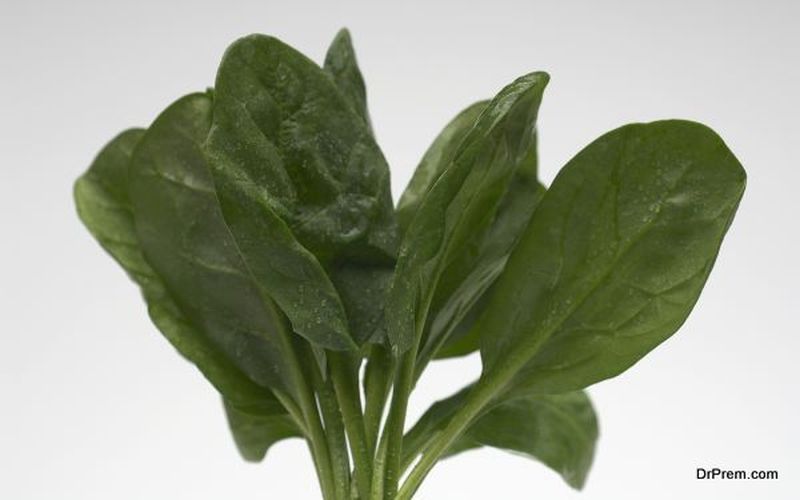 Spinach is Folic acid source 