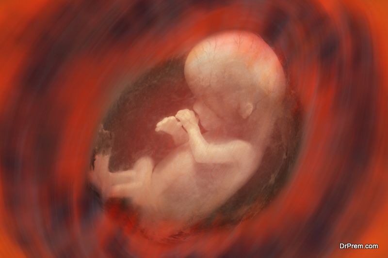 Human Fetus