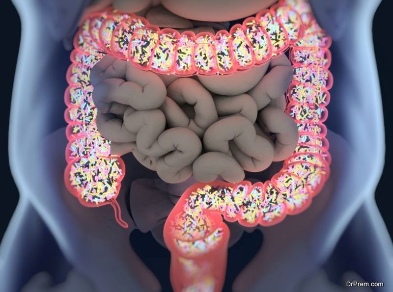 gut-bacteria