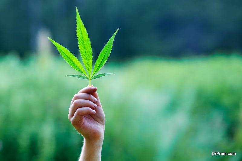 Health Benefits of Marijuana