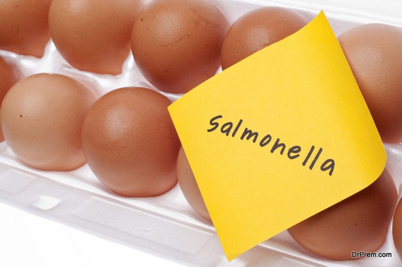 Salmonella