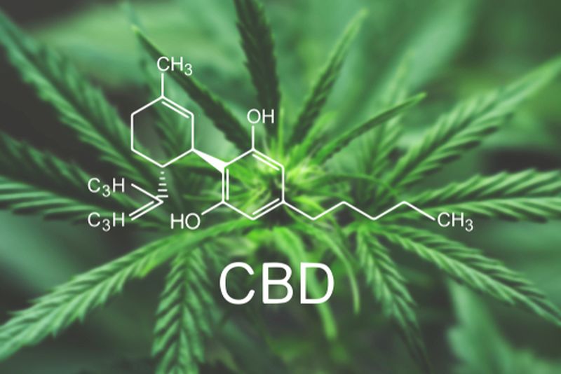 Is CBD So Good For Pain