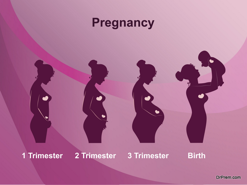 stages-of-pregnancy