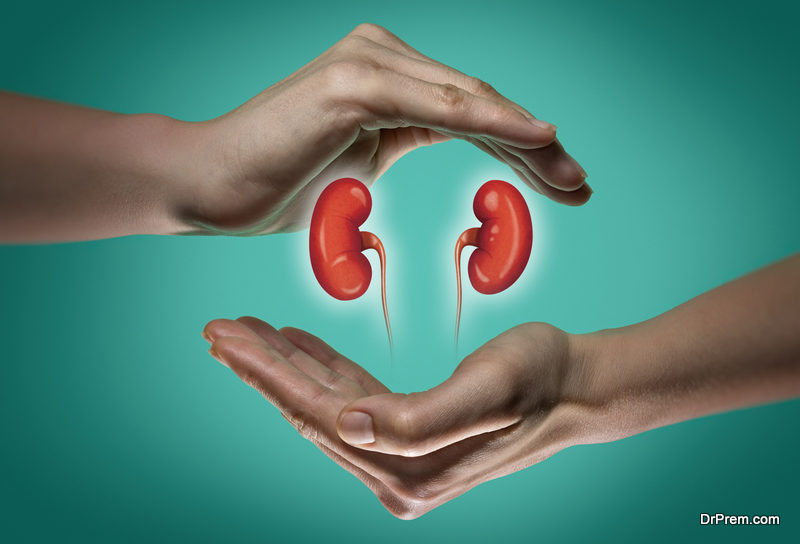Monitoring kidney health