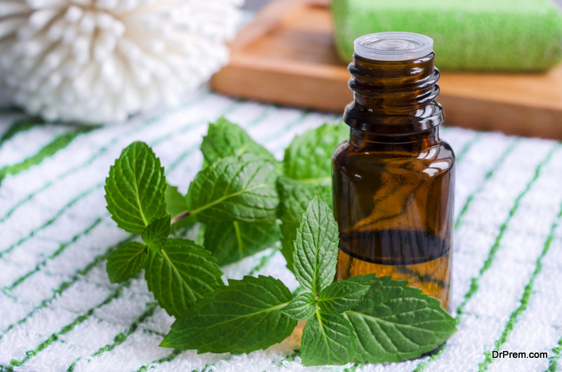 Peppermint-Essential-Oil