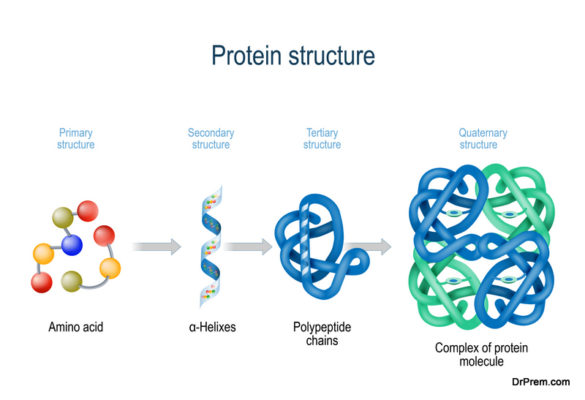 Peptides: Everything You Might Want To Know About Them