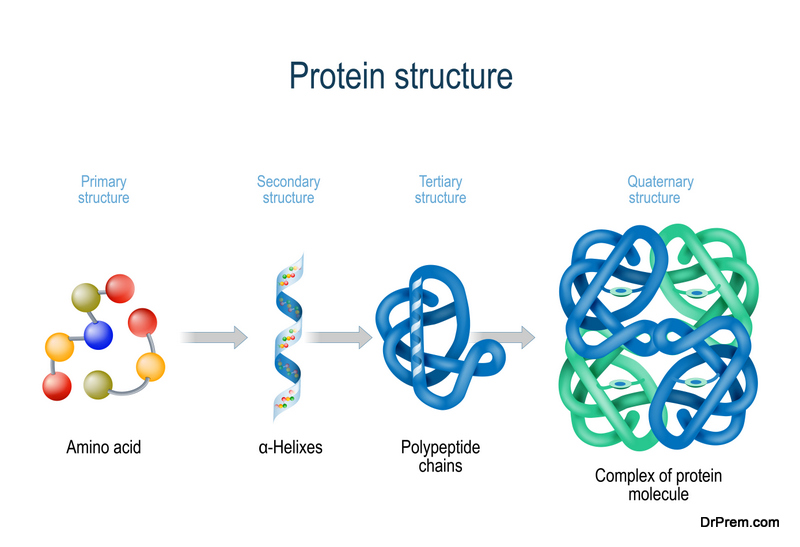 Peptides-1.jpg