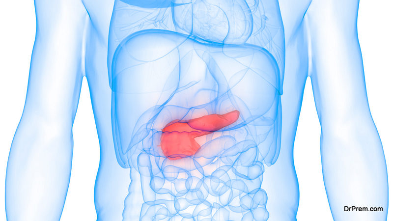 pancreas secrete a hormone called insulin