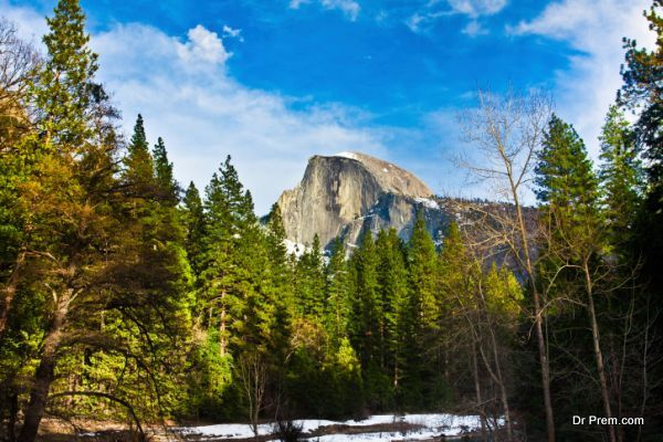 Yosemite National Park