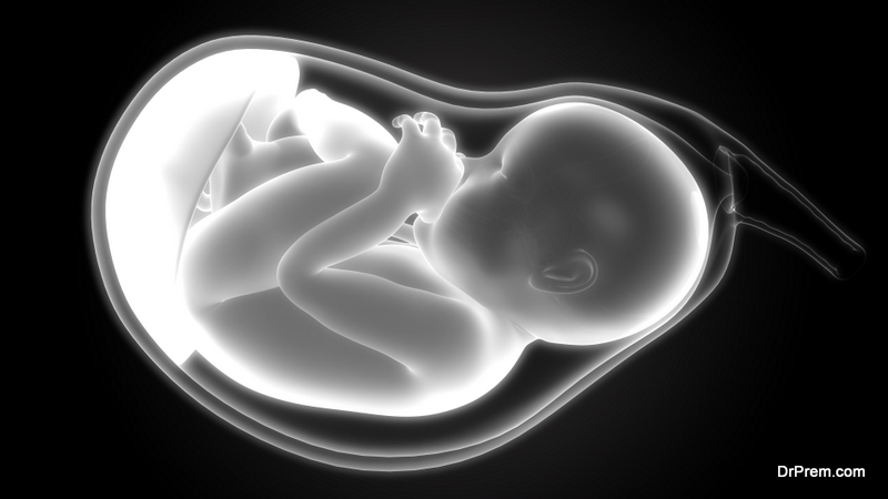 foetal anatomy ultrasound